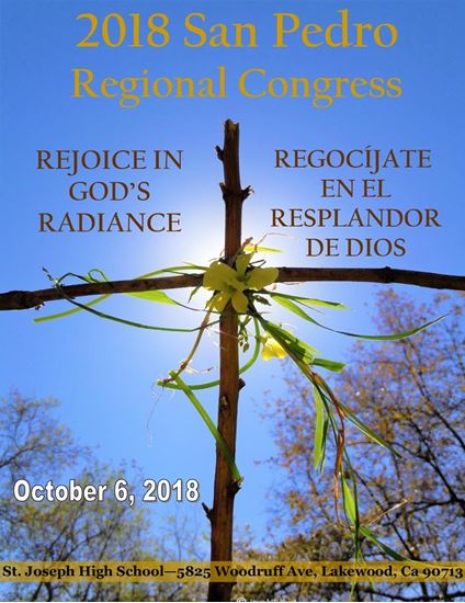 Picture of San Pedro Regional Congress 2018