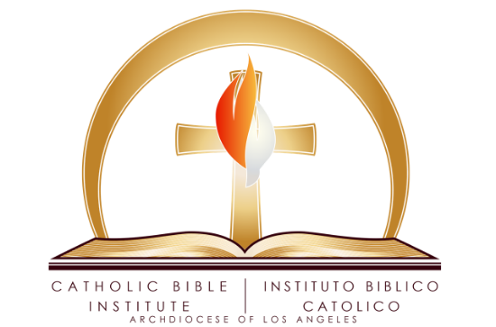 Picture of Catholic Bible Institute: Practicum Year, 2020 - 2021 (English)